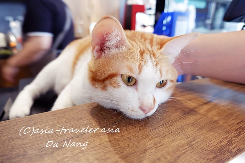 ダナン カフェ巡り Sense Coffee